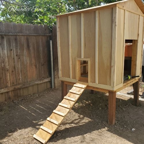 Rhonda Sue's - The Fluffy Butt Hut Our New Chicken Coop